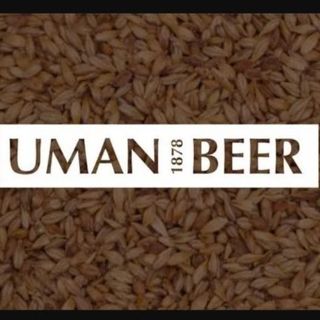 Пиво Stout (1л)