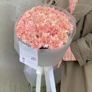 Діантусова Пустеля