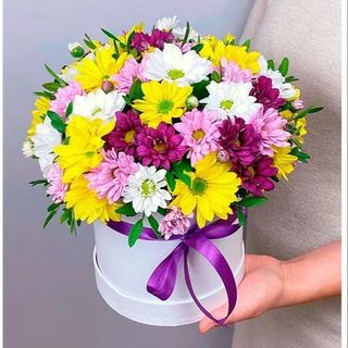 Прекрасні ромашки