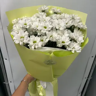Ромашка