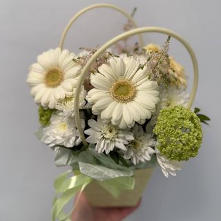 Біла хмаринка