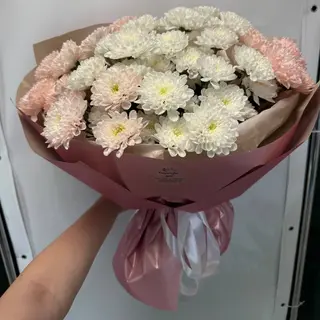 Хризантема