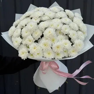 Моно букет з білої хризантеми сорту  Altay- 15 хризантем