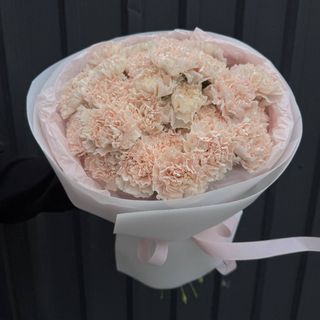 Моно букет з бежевих гвоздик сотру Brut -25 гвоздик