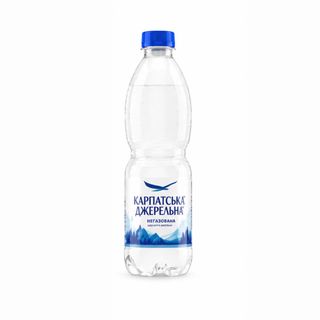 Карпатский источник без газа 0,5