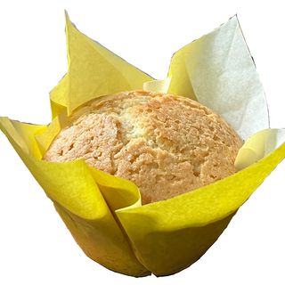Plain Muffin