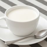 Hot Milk (Plain)
