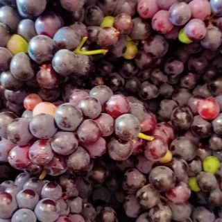Grape juice