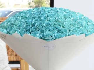 200 Sprayed blue roses