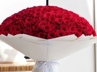 ❤️ 200 Red Roses Grand Bouquet