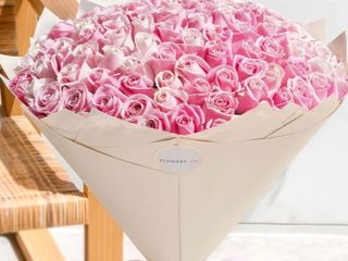 100 stems of pink roses