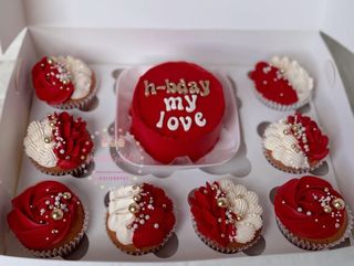 Bento cake and 8 cupcakes