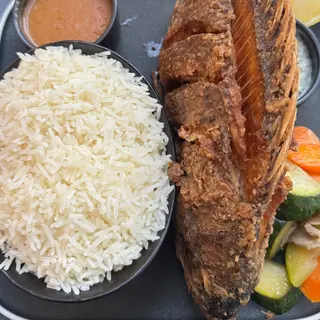 Tilapia Fish