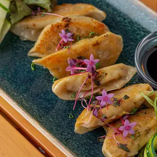Chicken Gyoza