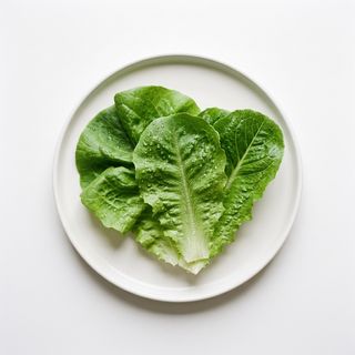 Lechuga