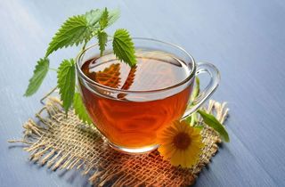 Thé Infusion