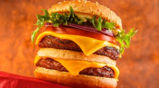Double cheese burger