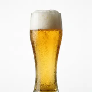Dos Equis 33 cl
