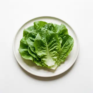 Lechuga