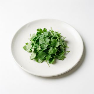 Cilantro