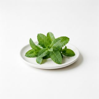Menta
