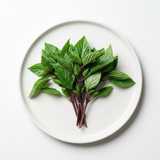 Albahaca tailandesa