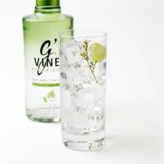 Gvine
