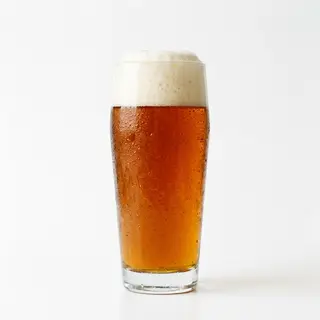 Cerveza Voll Damm (330 Ml.)