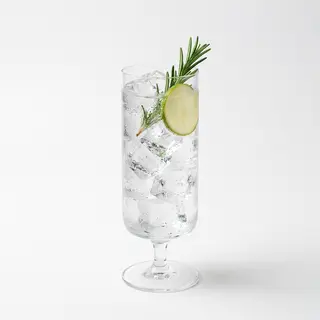Tanqueray Ten
