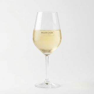 Vino Blanco Pagos Galir (750 Ml.)