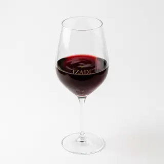 Vino Izadi Selección