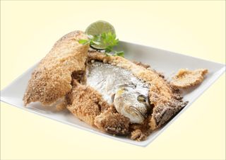 Dorada Espalda O La Sal