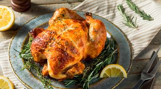 Pollo