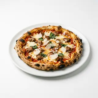 Sarda