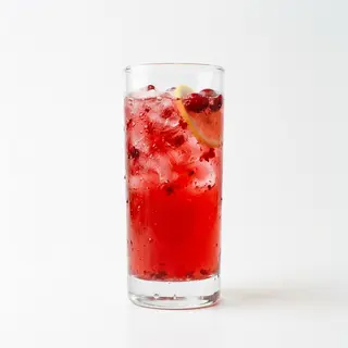 Лимонад журавлинний (500г)