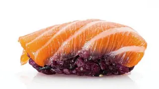 113. Black salmone