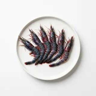 117. Black gambero crudo