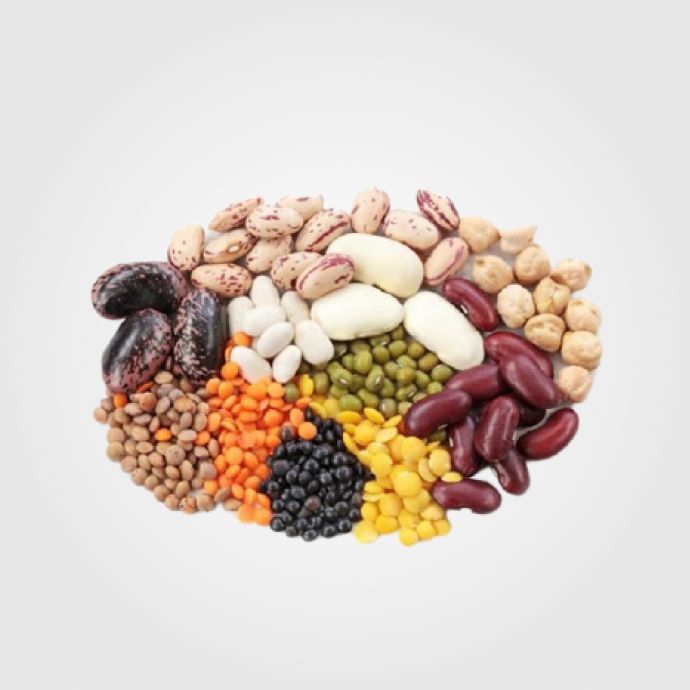 Legumbres 