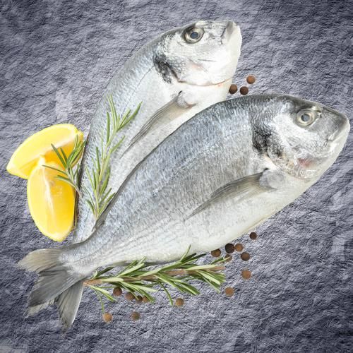 Риба охолоджена