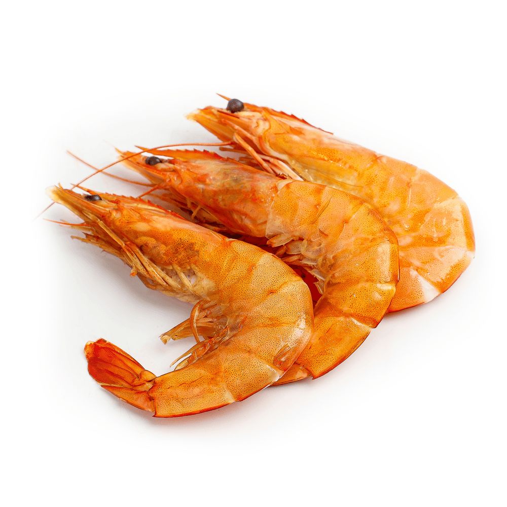 Морепродукти та молюски