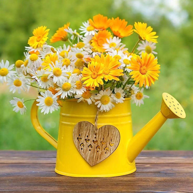 Предложения за вашата тераса и градина