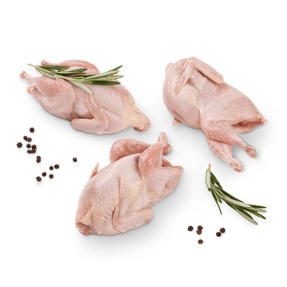 М'ясо птиці