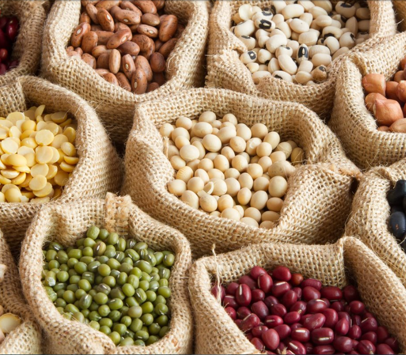 Legumbres