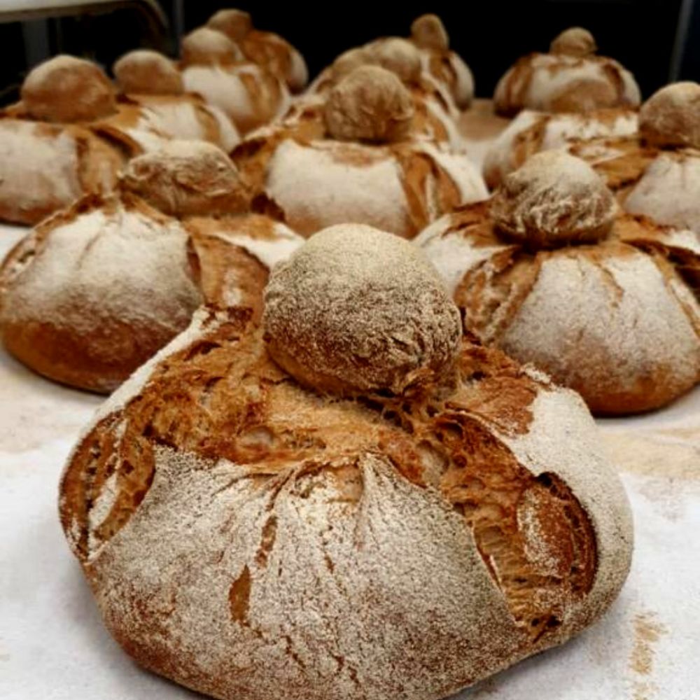 Hogazas Y Pan De Molde