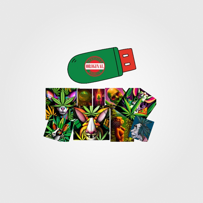 Regalo y Decoración