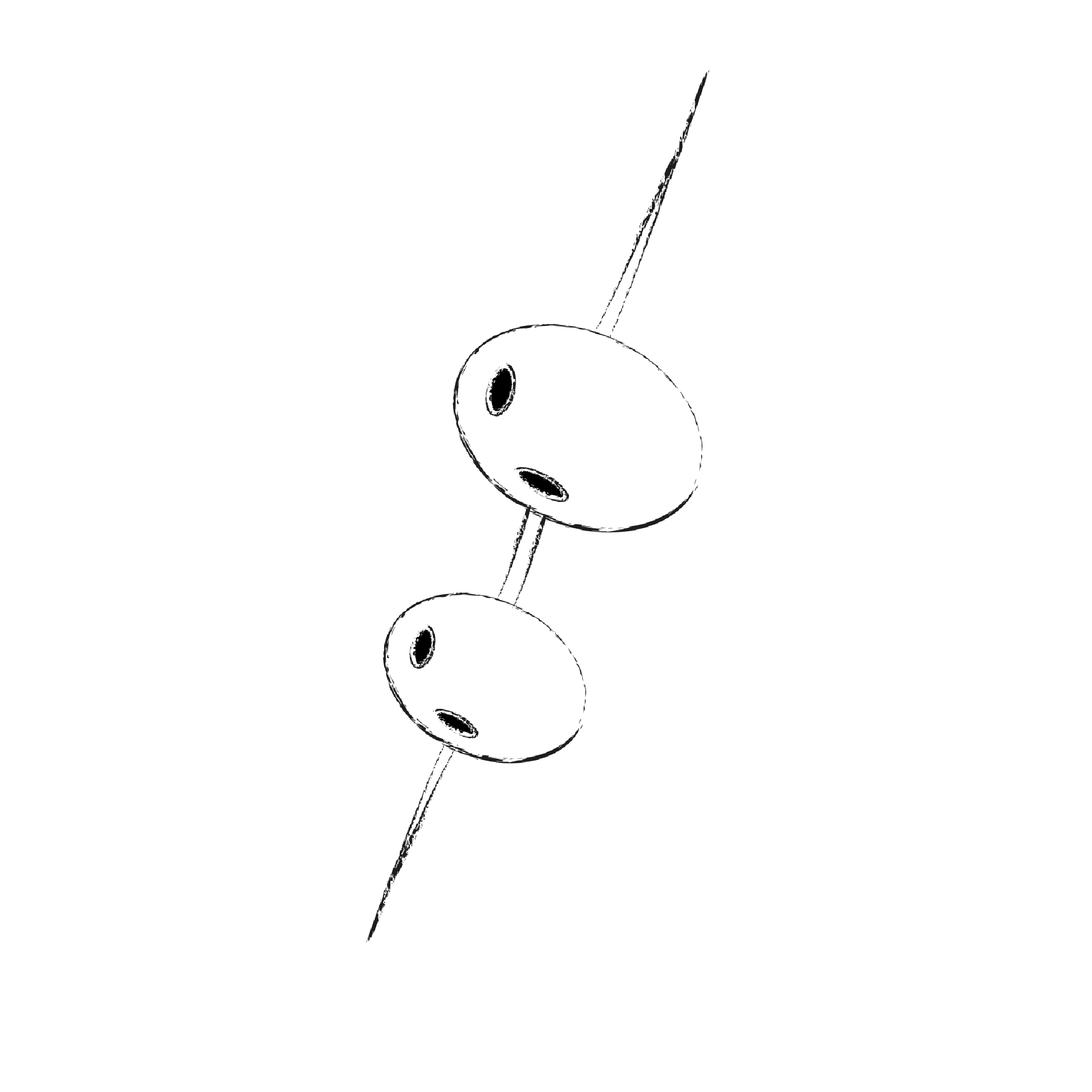 Encurtidos - Cáscaras y semillas