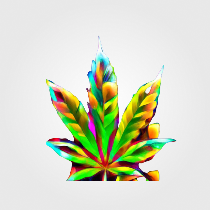 Adhesivos de Cannabis