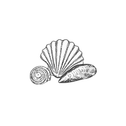 Bivalvos - Pescados Luis Fontenla