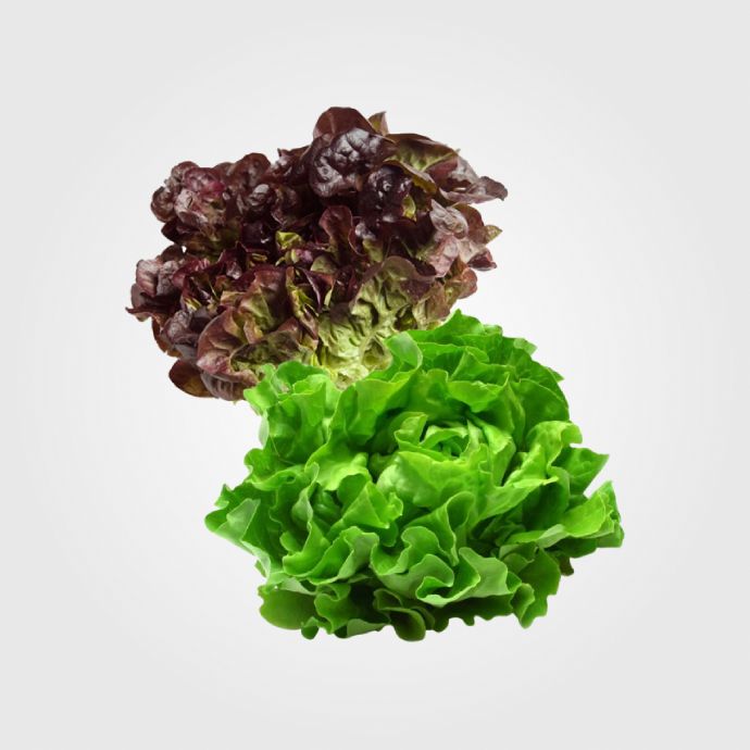 Lechugas O Ensaladas