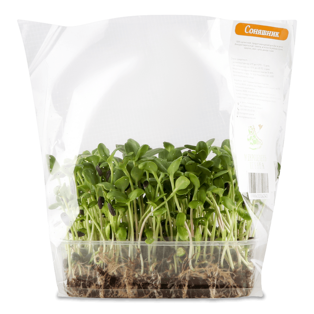 Зелень і салати